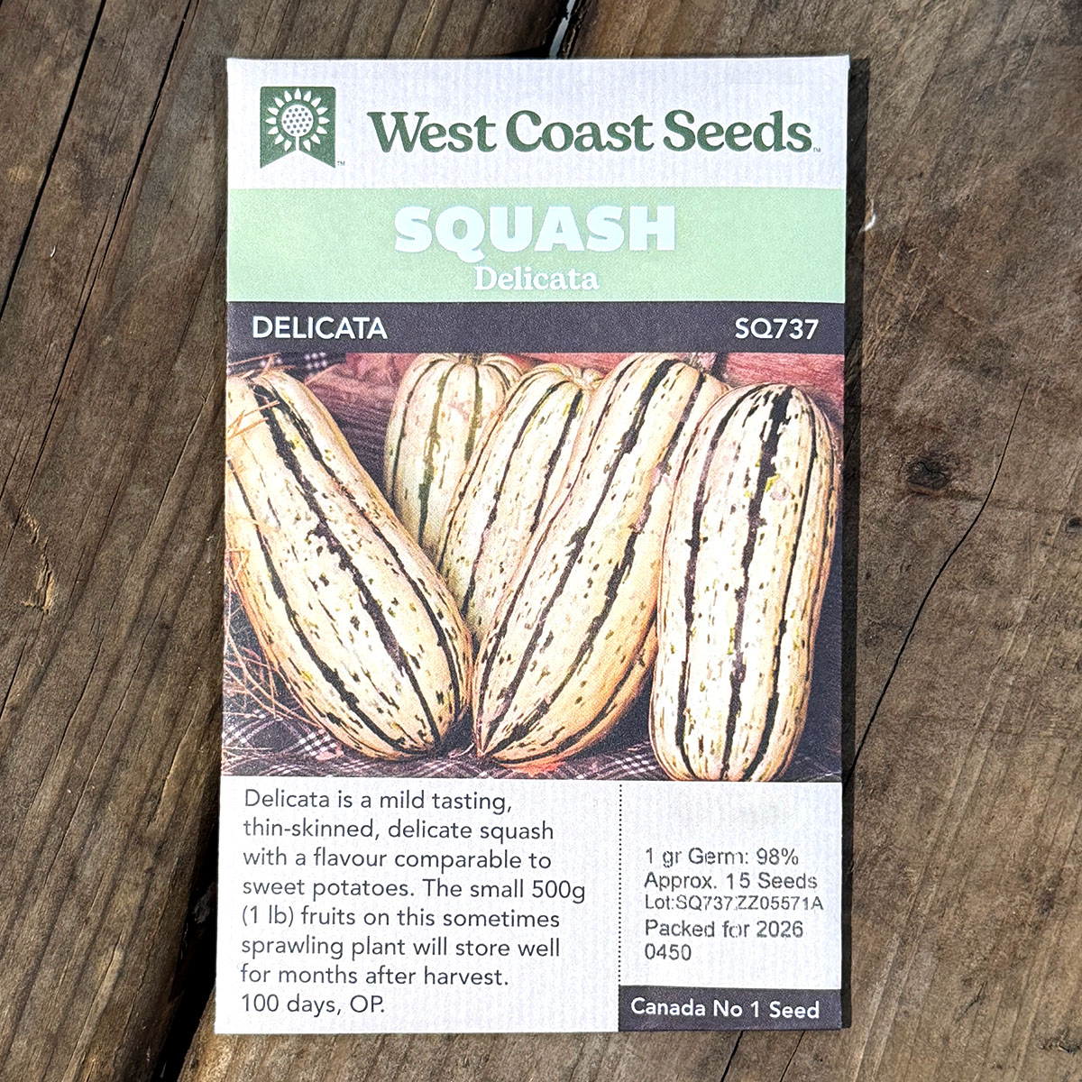 WCS_Squash_Delicata.jpg