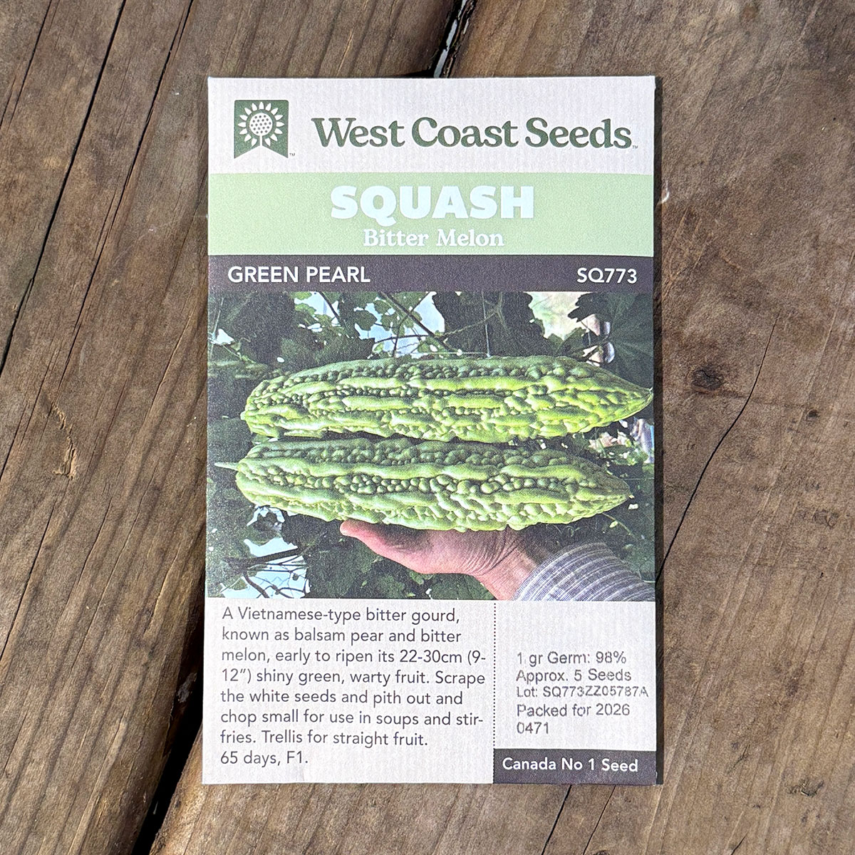 WCS_Squash_GreenPearl.jpg