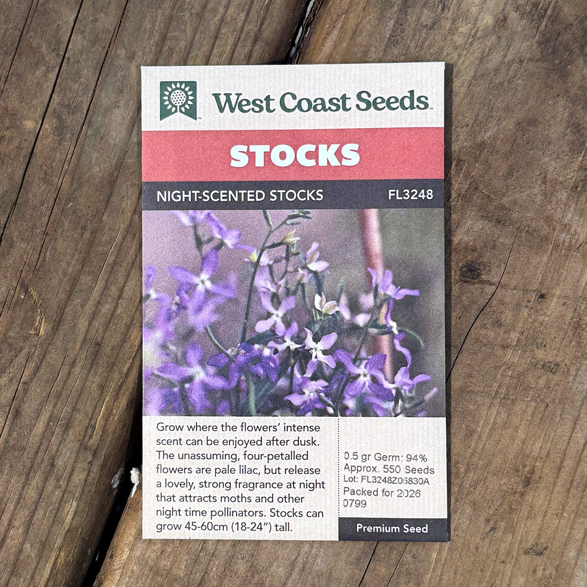 WCS_Stocks_NightScentedStocks.jpg