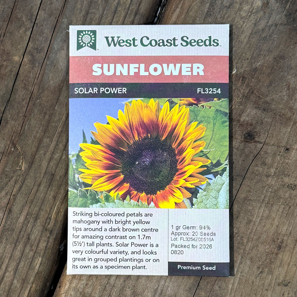 WCS_Sunflower_SolarPower.jpg