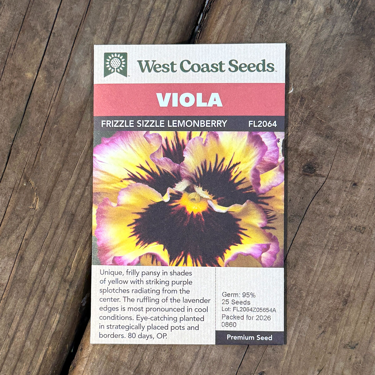WCS_Viola_FrizzleSizzleLemonBerry.jpg