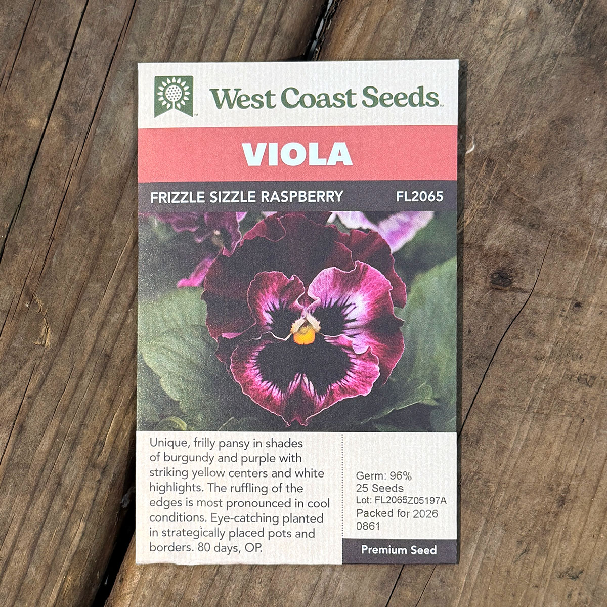 WCS_Viola_FrizzleSizzleRaspberry.jpg