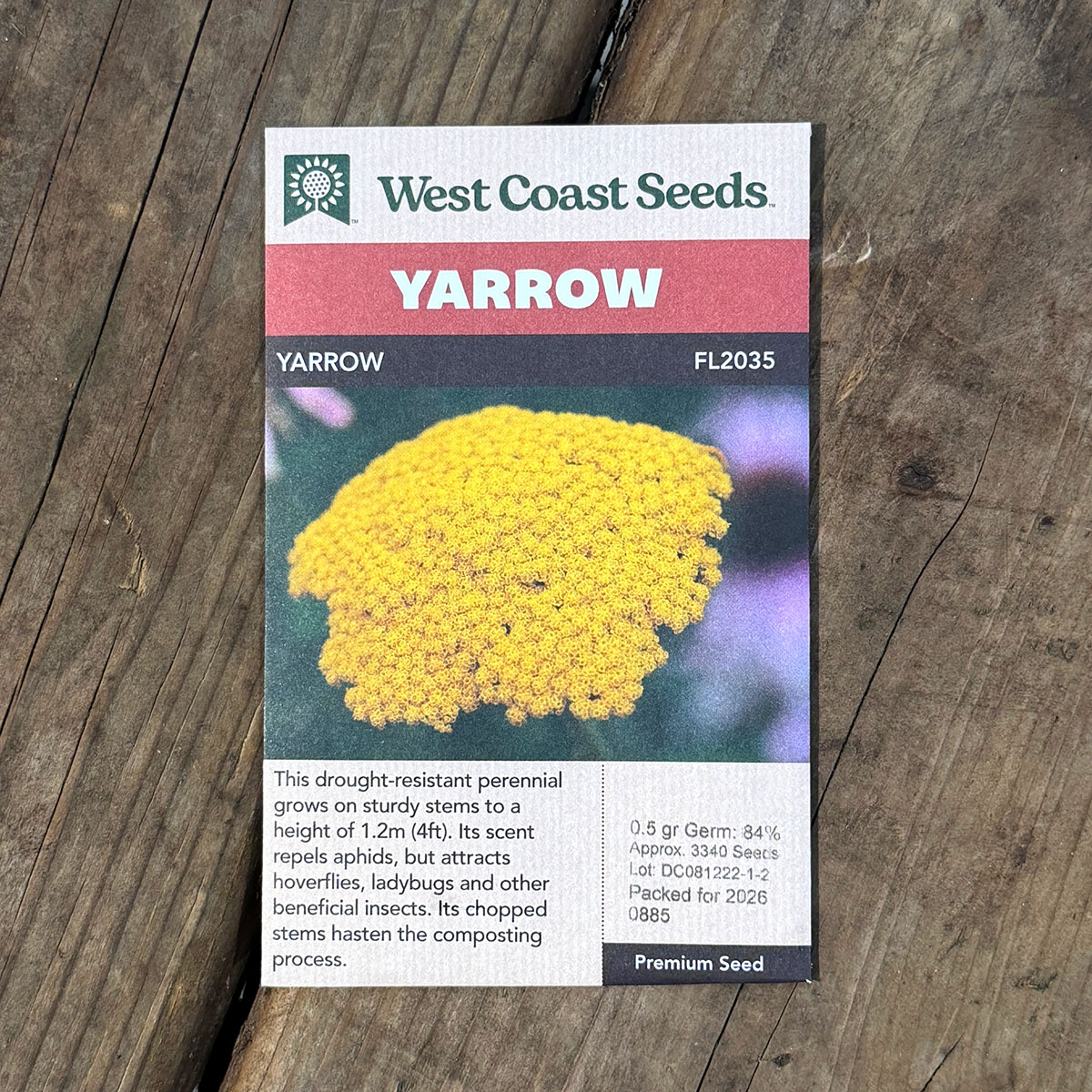 WCS_Yarrow.jpg