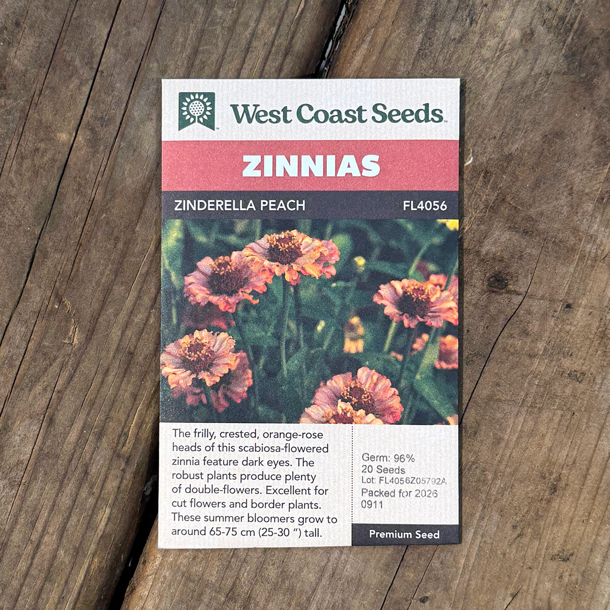 WCS_Zinnias_ZinderellaPeach.jpg