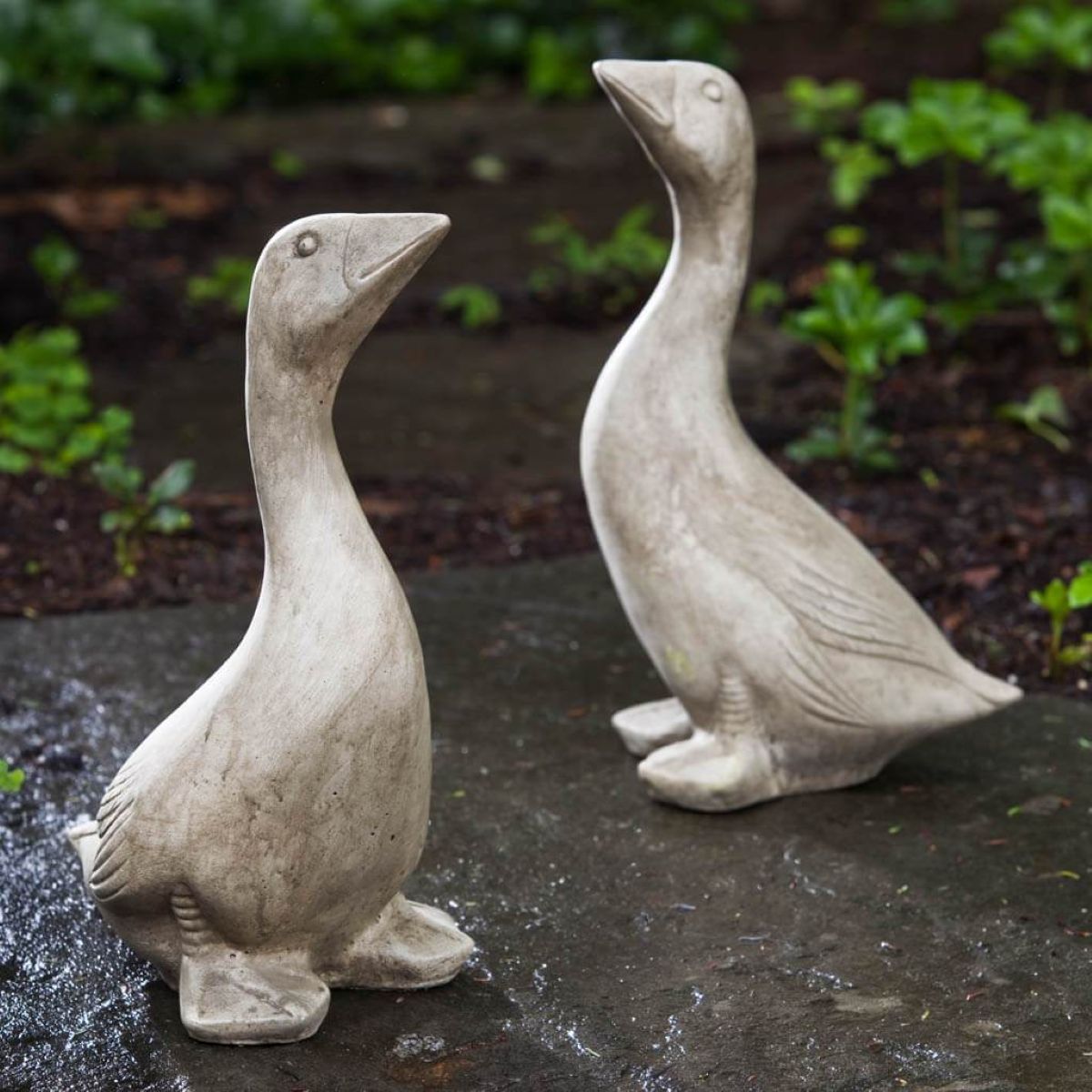 a423-kate_s-goose-cast-stone-bird-statue-ve_33169c03-0175-473c-9ba8-2a8d81abdf1e.jpg