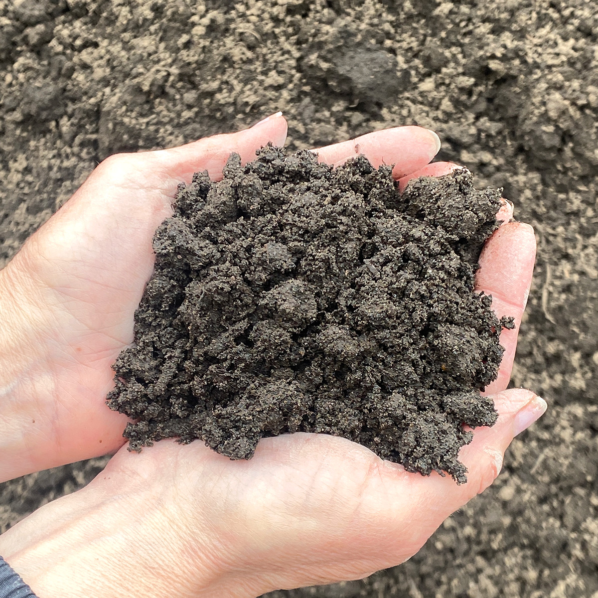 bulk_turfblendsoil_hand.jpg