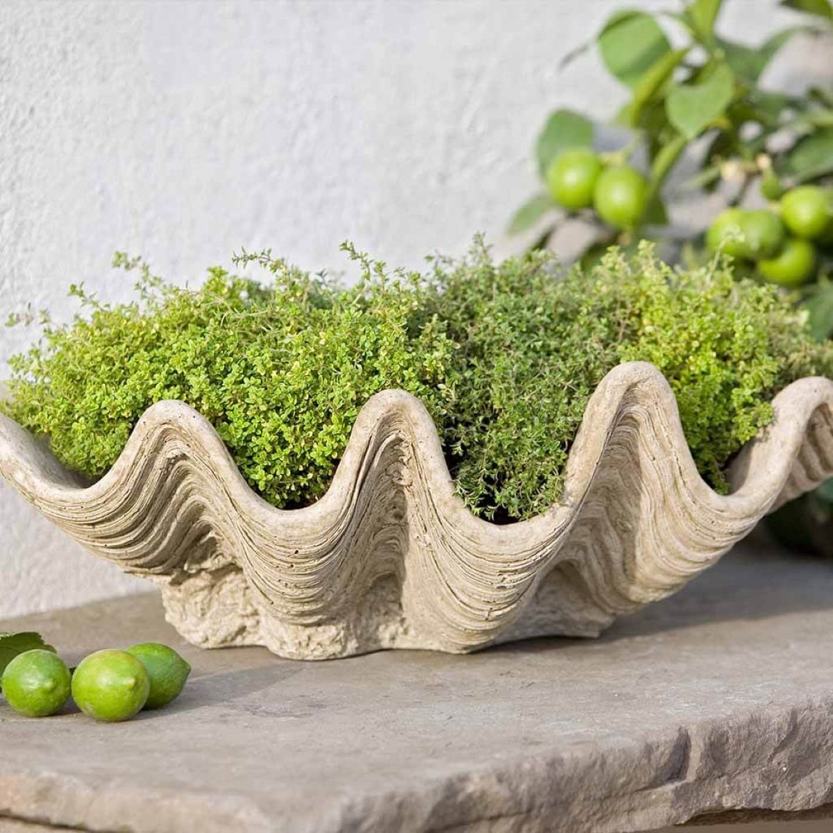 p441-south-seas-planter-cast-stone-sea-shell-ve.jpg