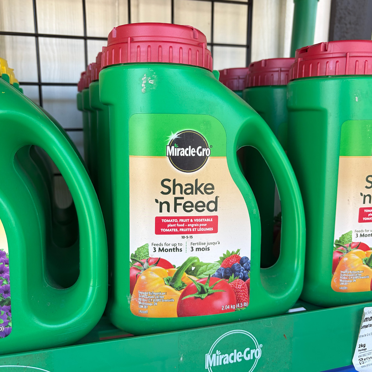 shake_feed_2026.jpg