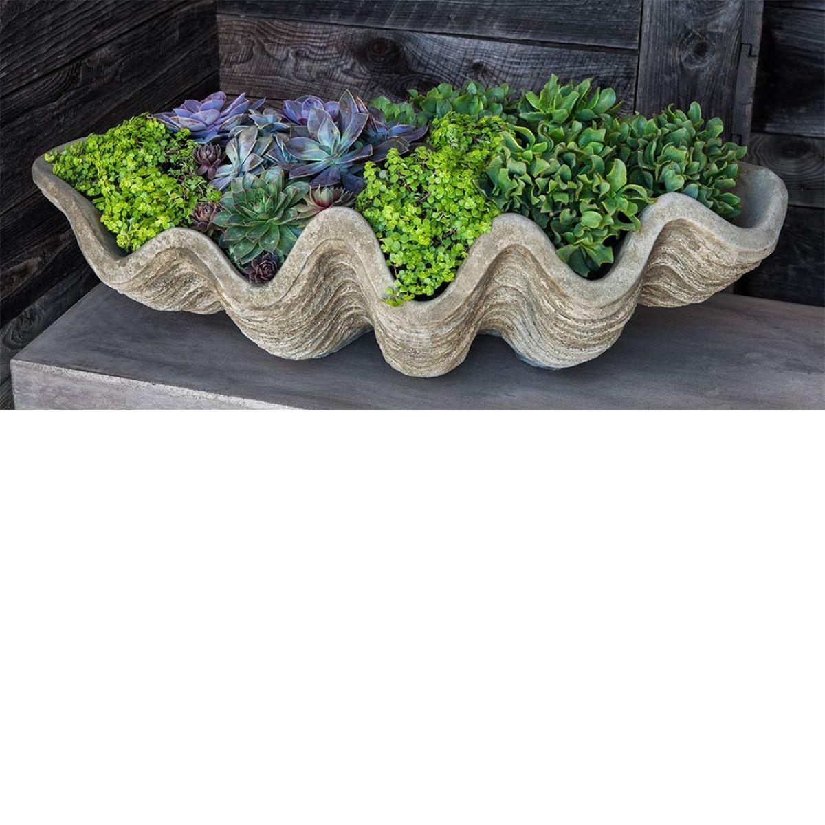 w106-south-seas-shell-large-planter-cast-stone-ve.jpg
