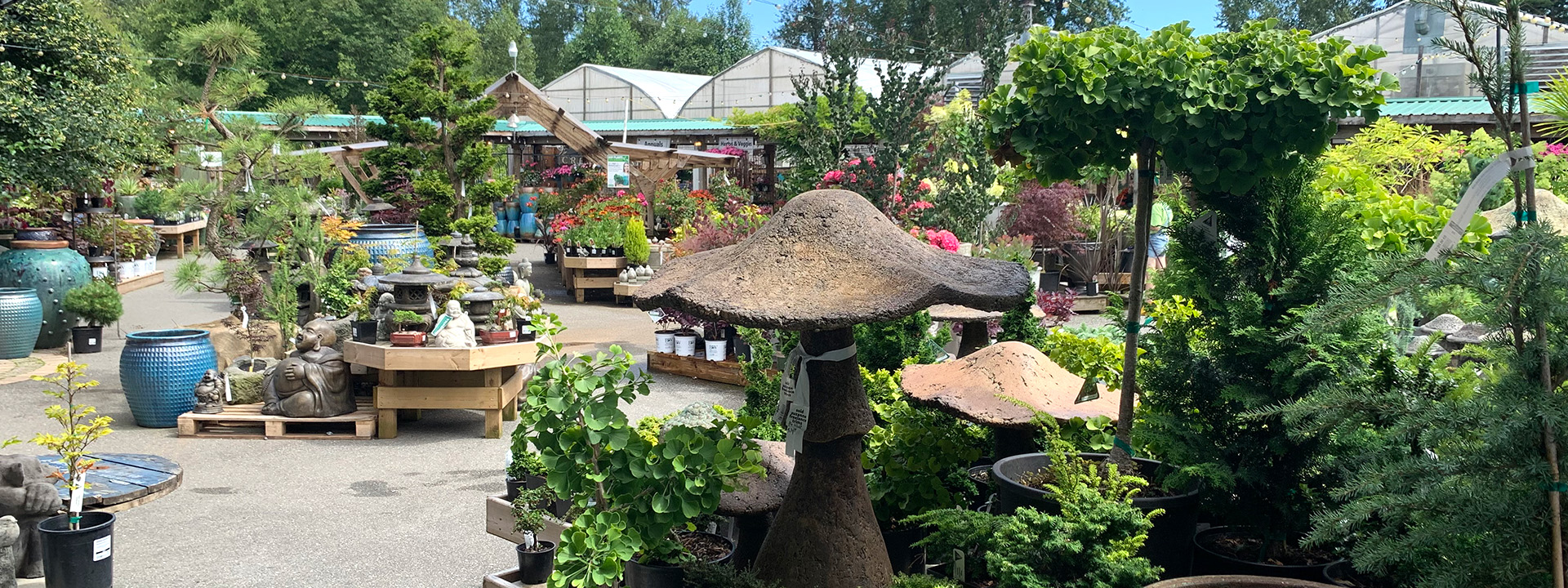 arts nursery wholesale