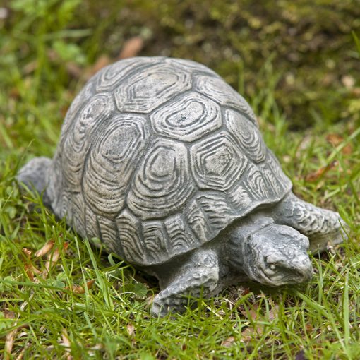 Campania - Small Turtle A-093