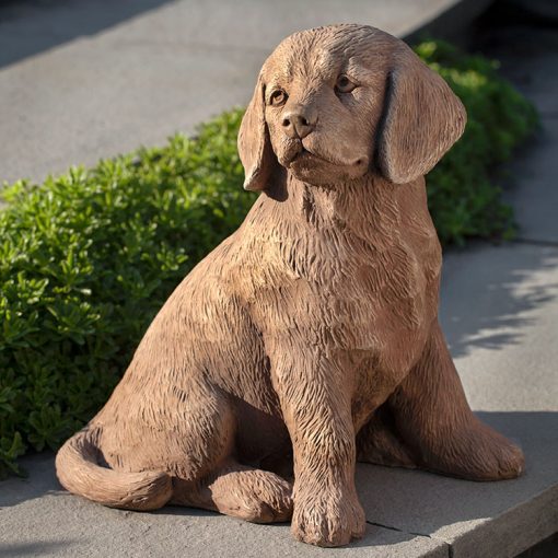 Campania - Golden Retriever Puppy A-535