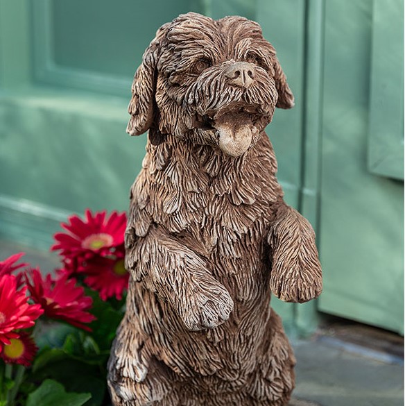 Campania - Cooper dog puppy on hind legs A-617