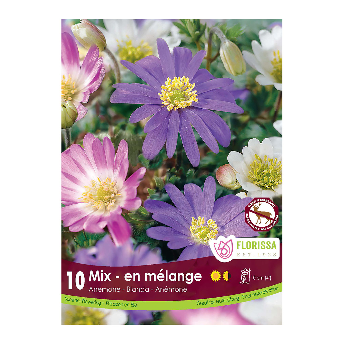 Anemone_BlandaMix.jpg