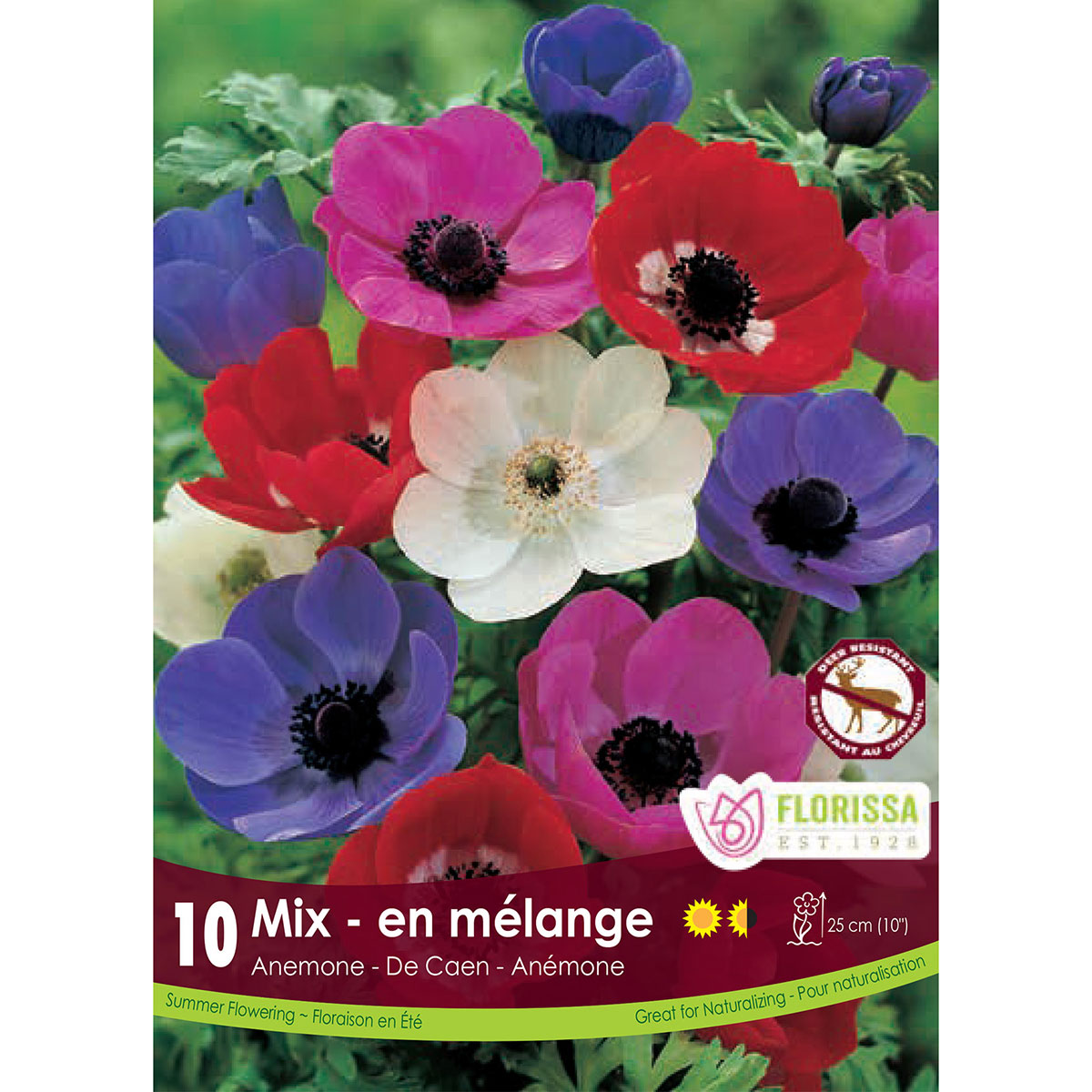 Anemone 'De Caen Mixture' Bulbs 10Pk