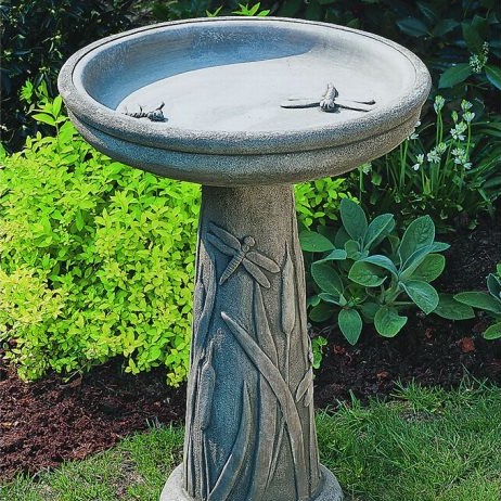 Campania - Dragonfly Birdbath B-056