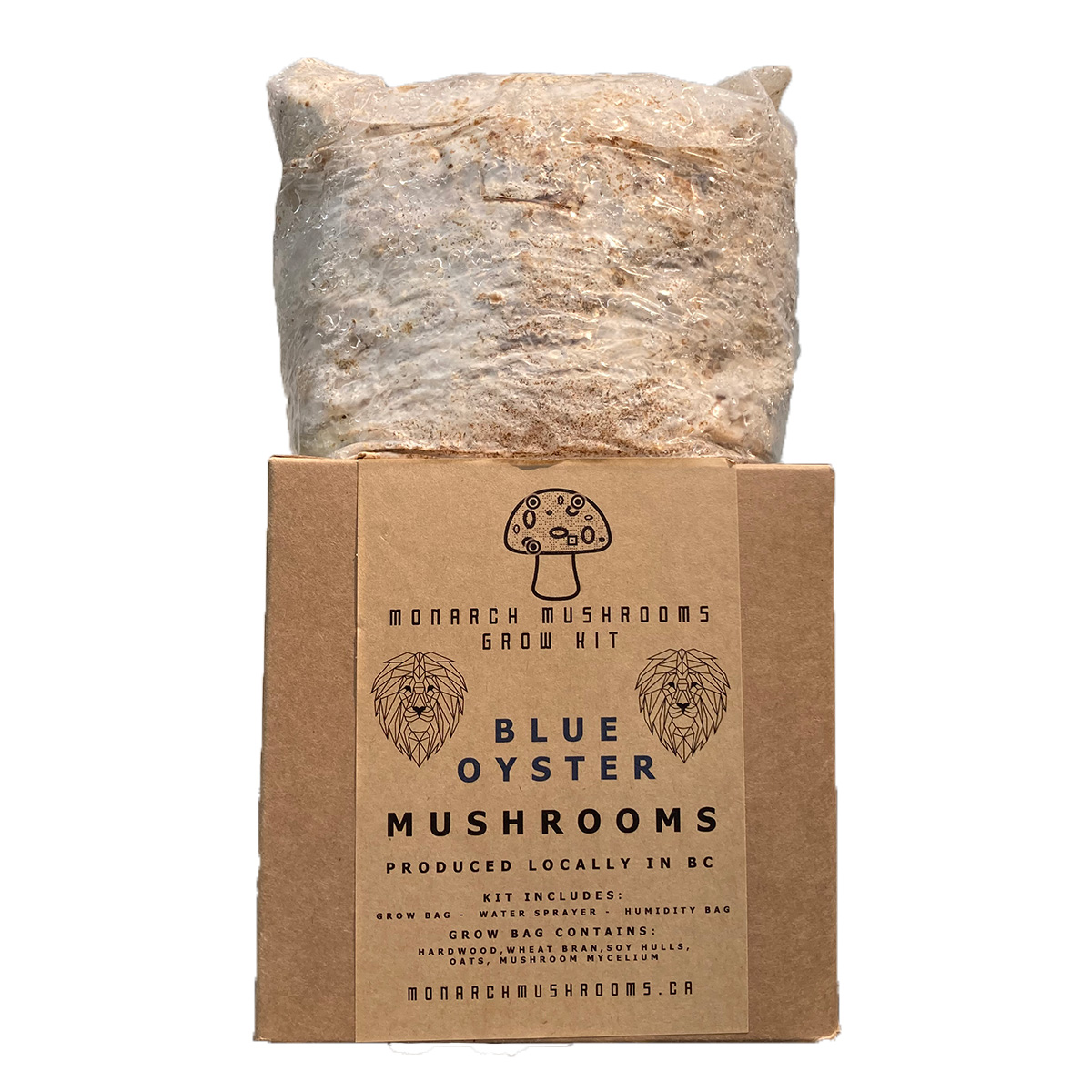 Blue_Oyster_Mushroom_Out.jpg