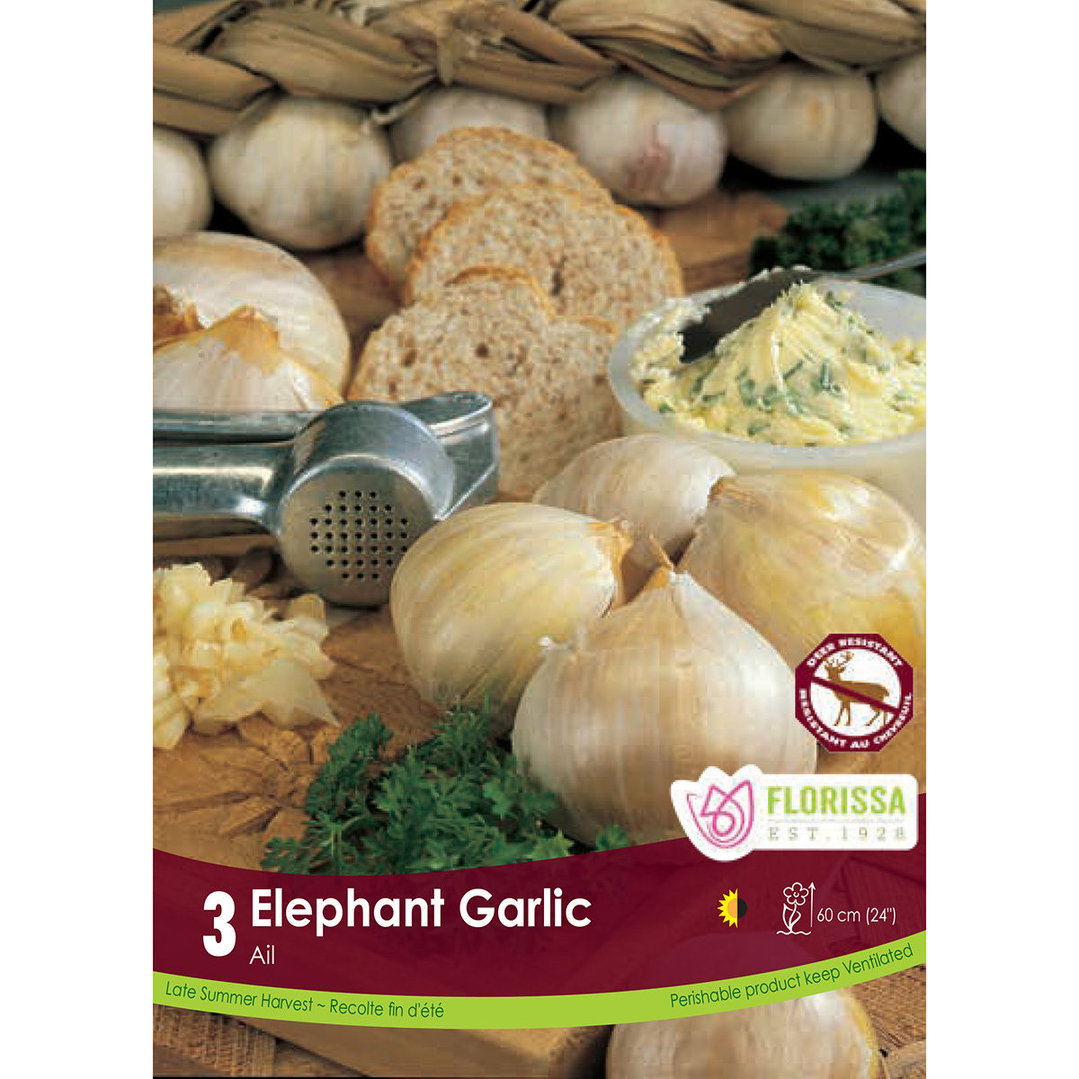 Garlic 'Elephant' Bulbs 3PK 