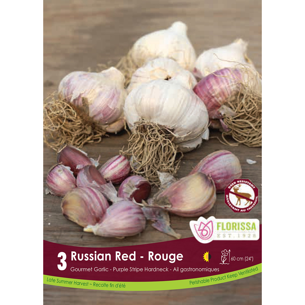 Garlic 'Russian Red' Bulbs 3PK