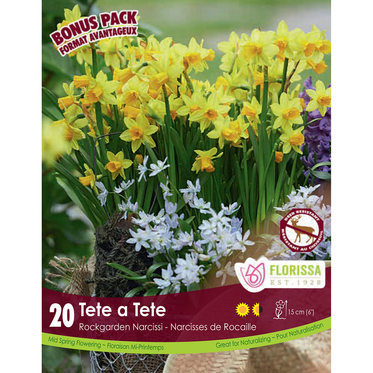 Narcissus 'Tete a Tete' Bulbs 20PK