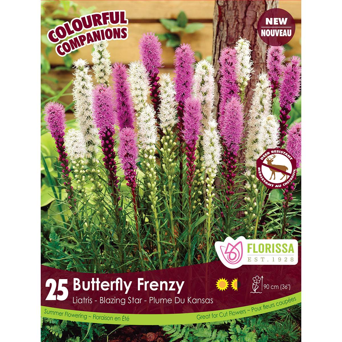 Colourful Companions 'Butterfly Frenzy' Bulbs 