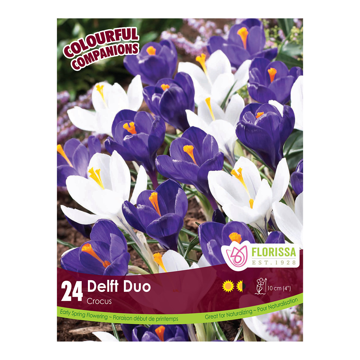 Delft Duo Colourful Companions Bulb Collection  24Pk