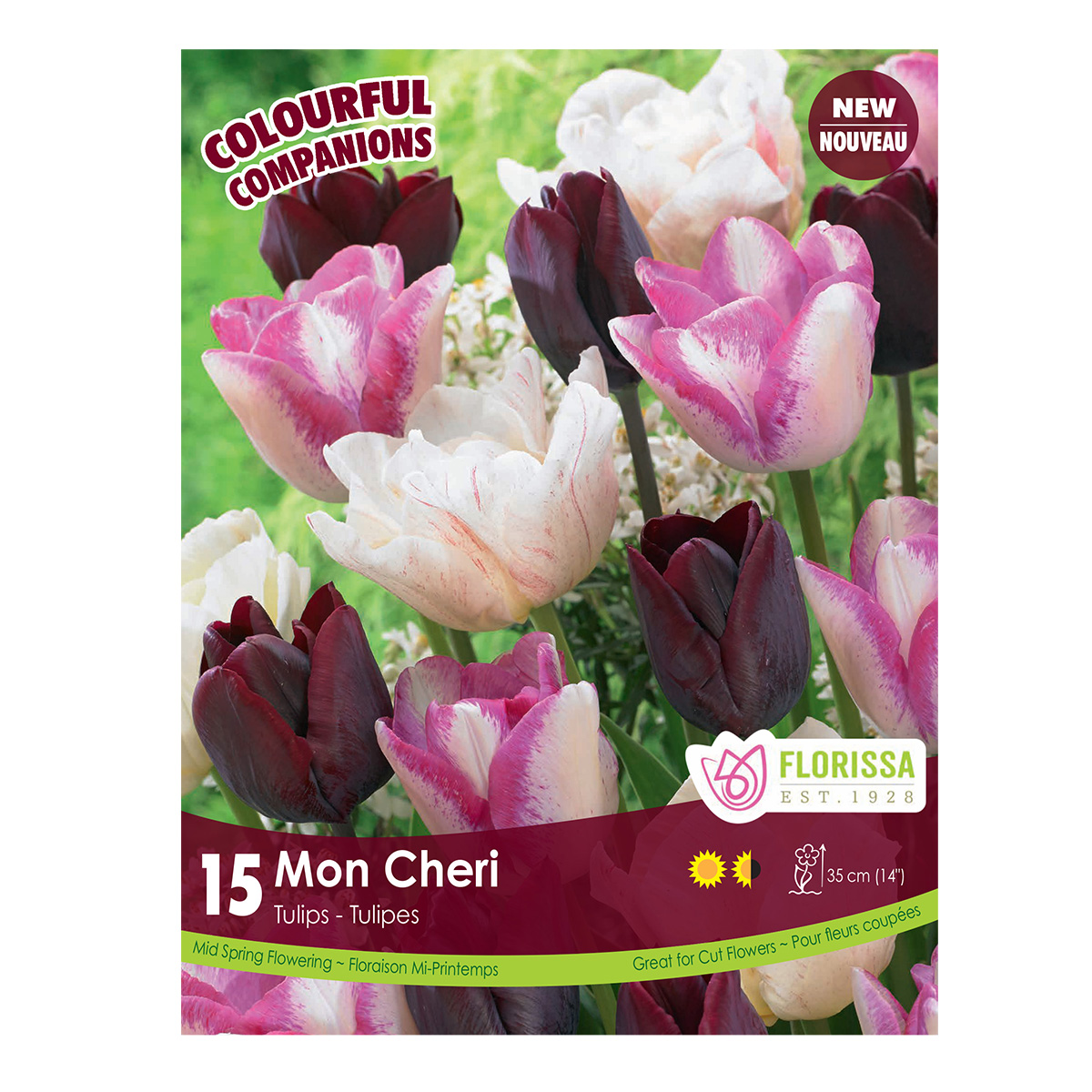 Colorful Companions 'Mon Cheri' 15PK