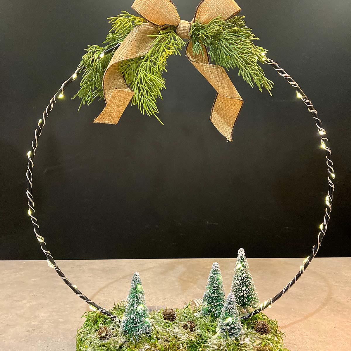 DIY Take and Make Ring of Light Forest Kit