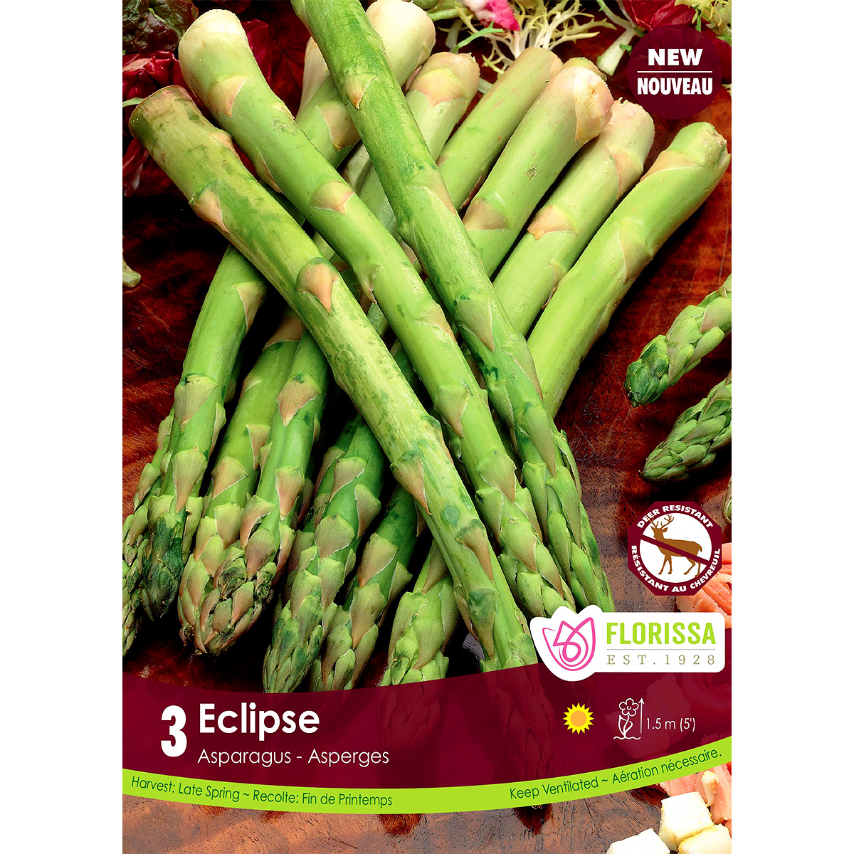 Asparagus 'Ecilpse' Roots 