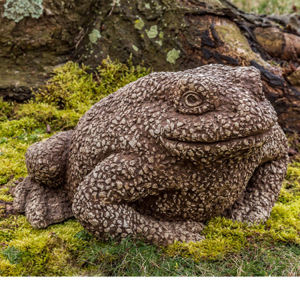 Forest_Toad.jpg