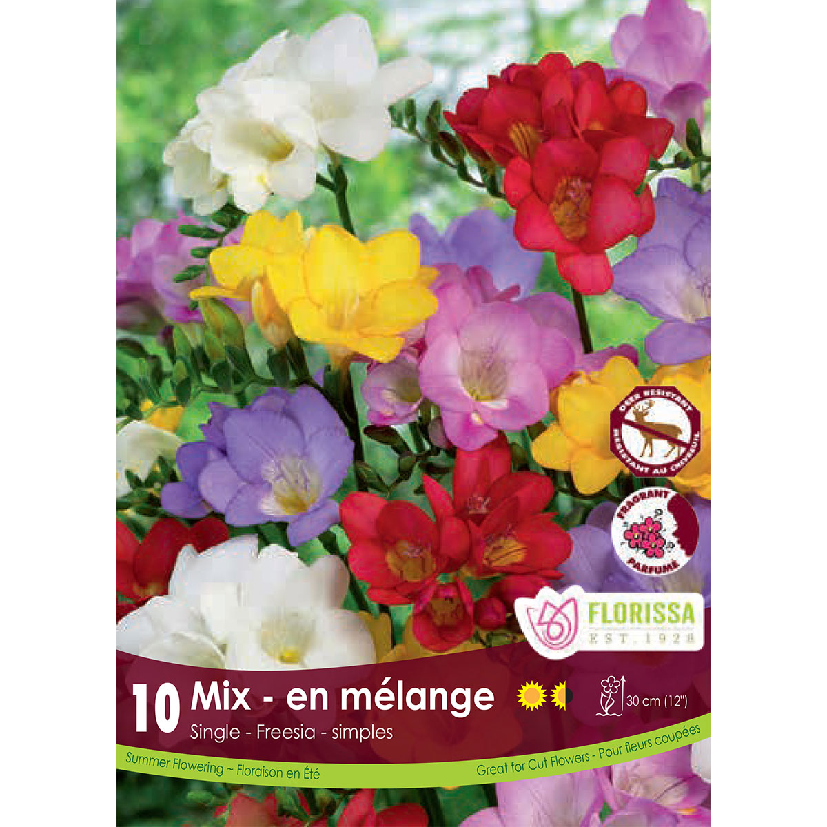 Freesia 'Single Mix' Bulbs