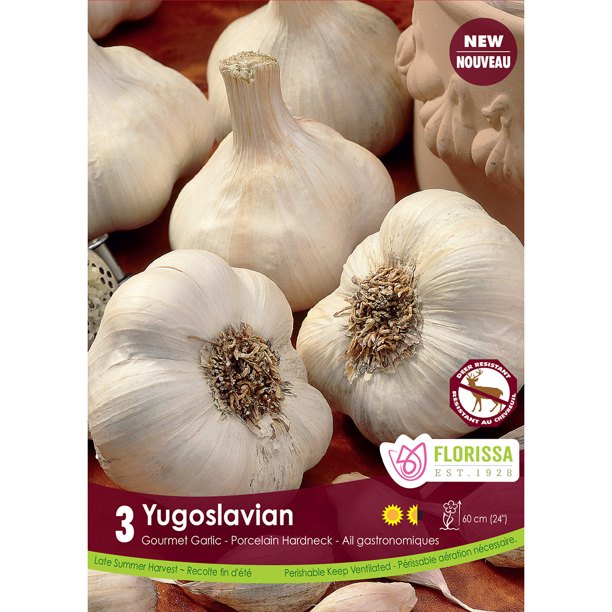 Garlic_Yugoslavian_1200px.jpg