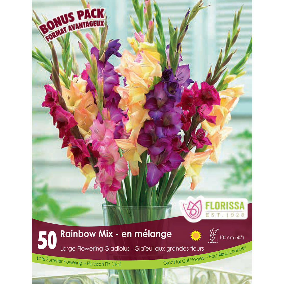 Gladiolus_Rainbow_Mix.jpg