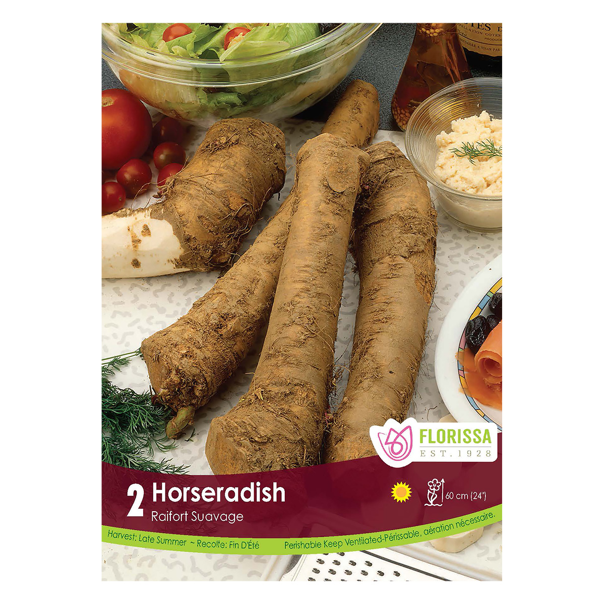 Horseradish Root