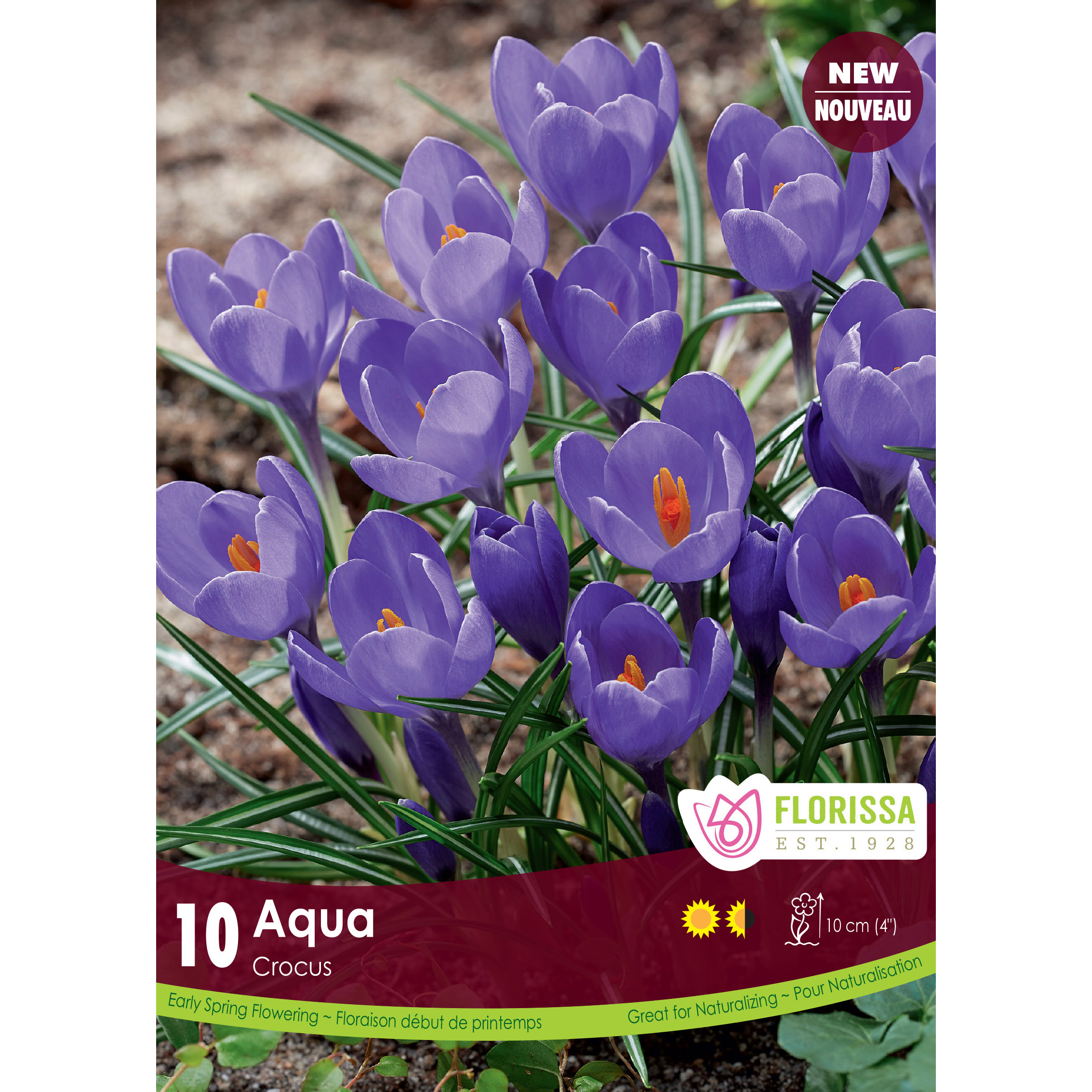 LG_Kep_Crocus_Aqua_fall.jpg