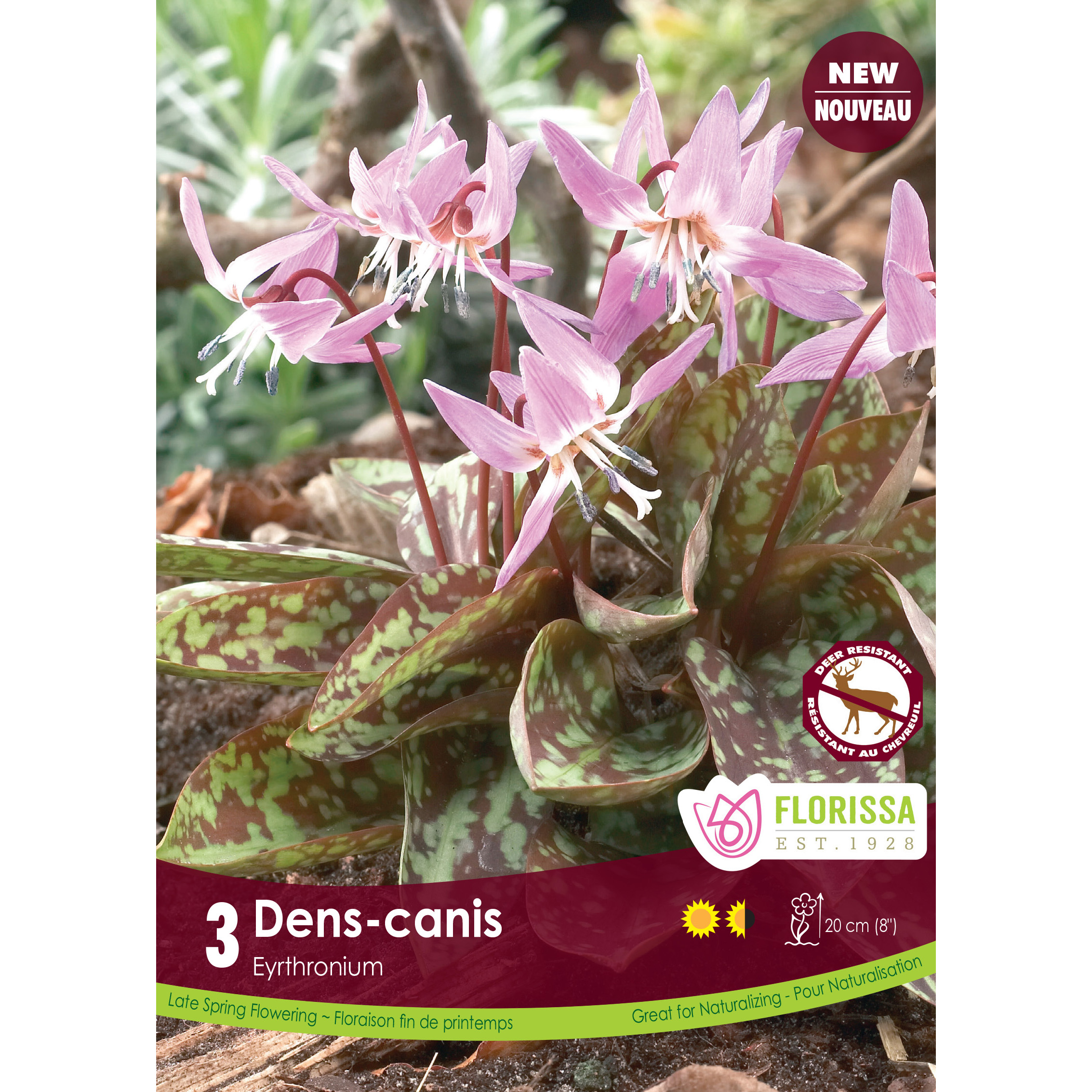 LG_Kep_Erythronium_Dens-Canis_fall.jpg