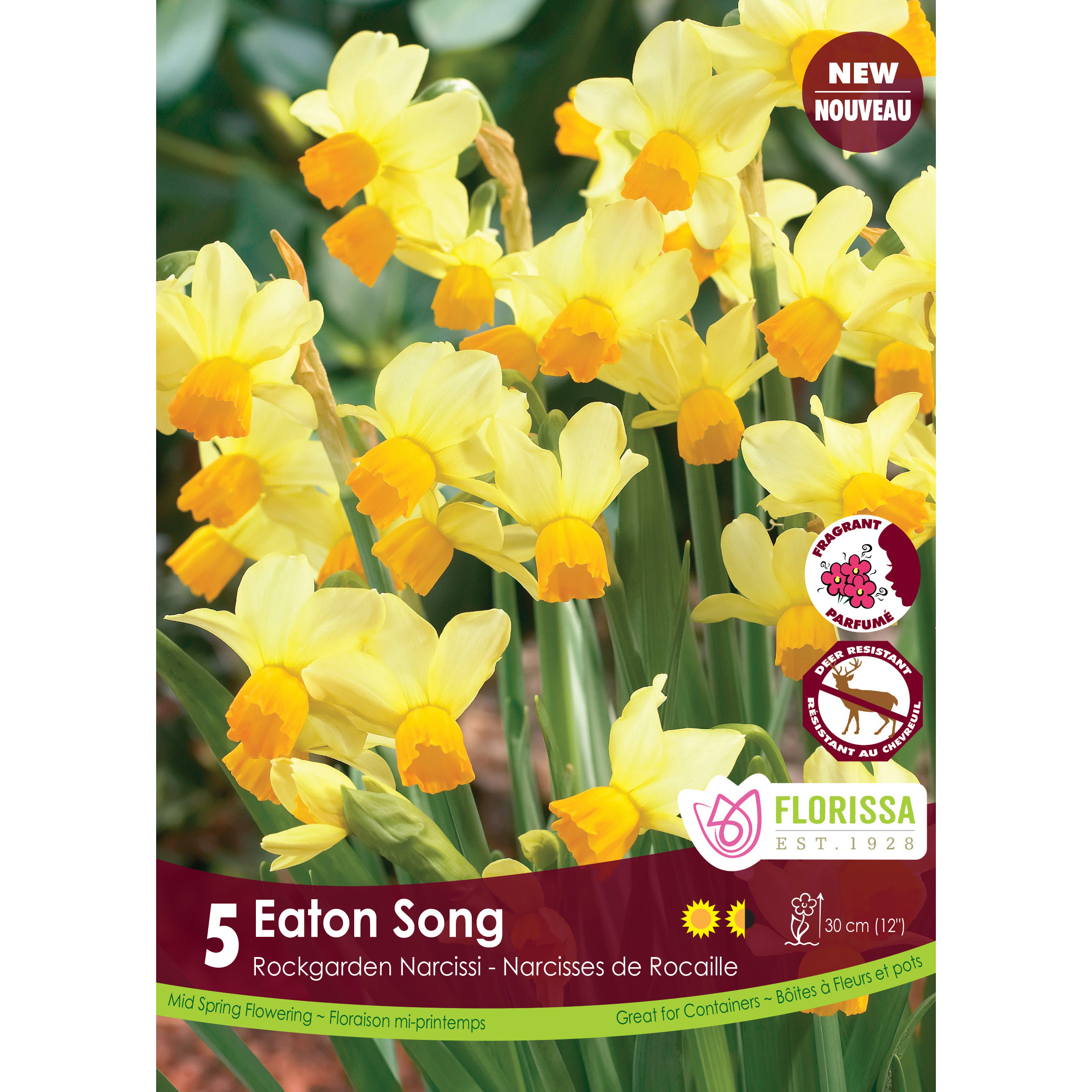 LG_Kep_Narcissus_Eaton_Song_fall.jpg