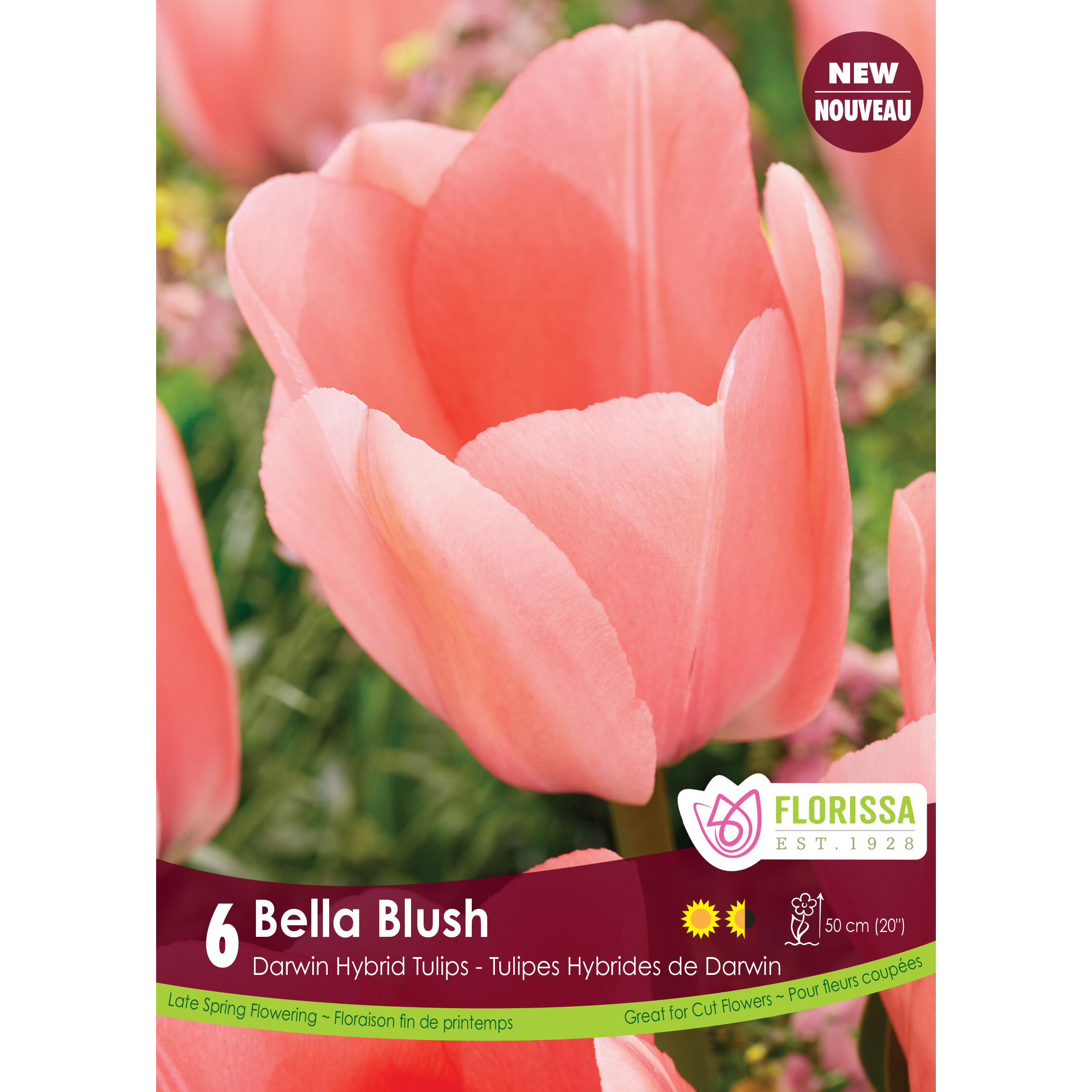 LG_Kep_Tulip_Bella_blush_fall.jpg
