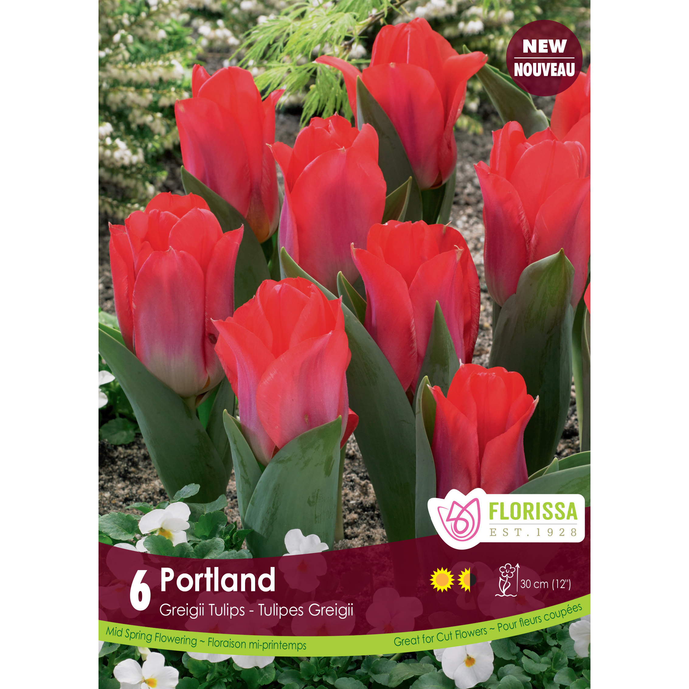 LG_Kep_Tulip_Portland_fall.jpg