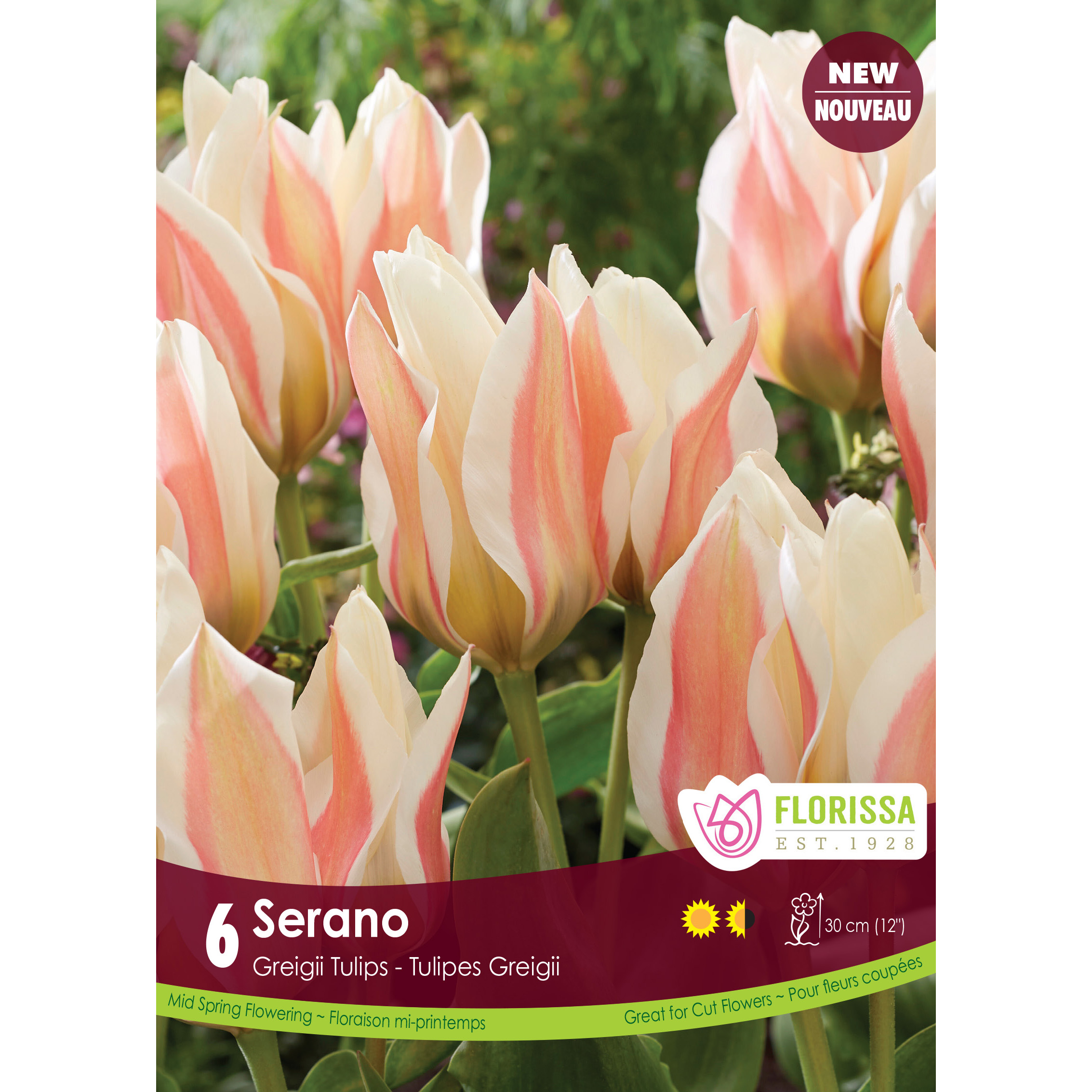 LG_Kep_Tulip_Serano_fall.jpg