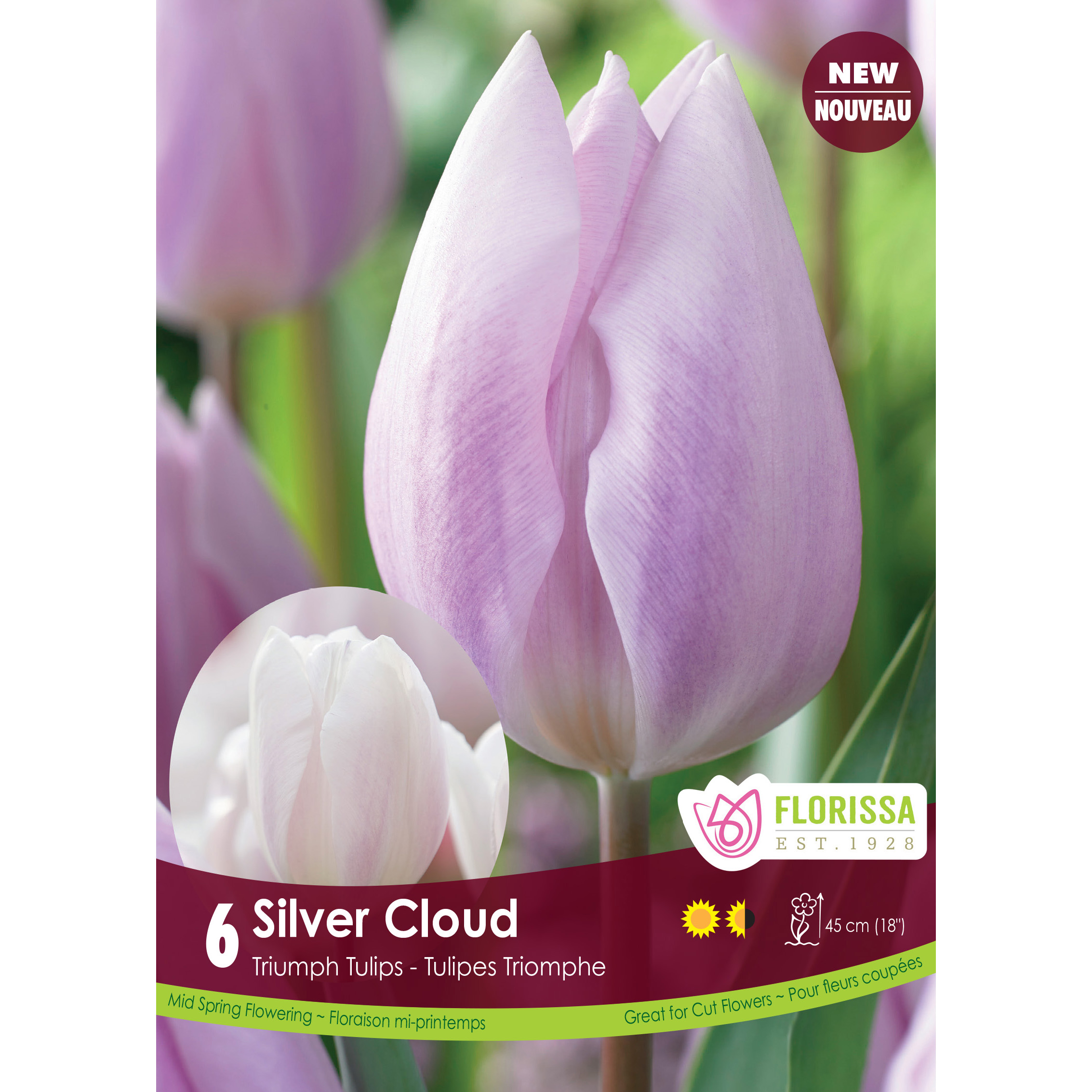 LG_Kep_Tulip_Silver_Cloud_fall.jpg