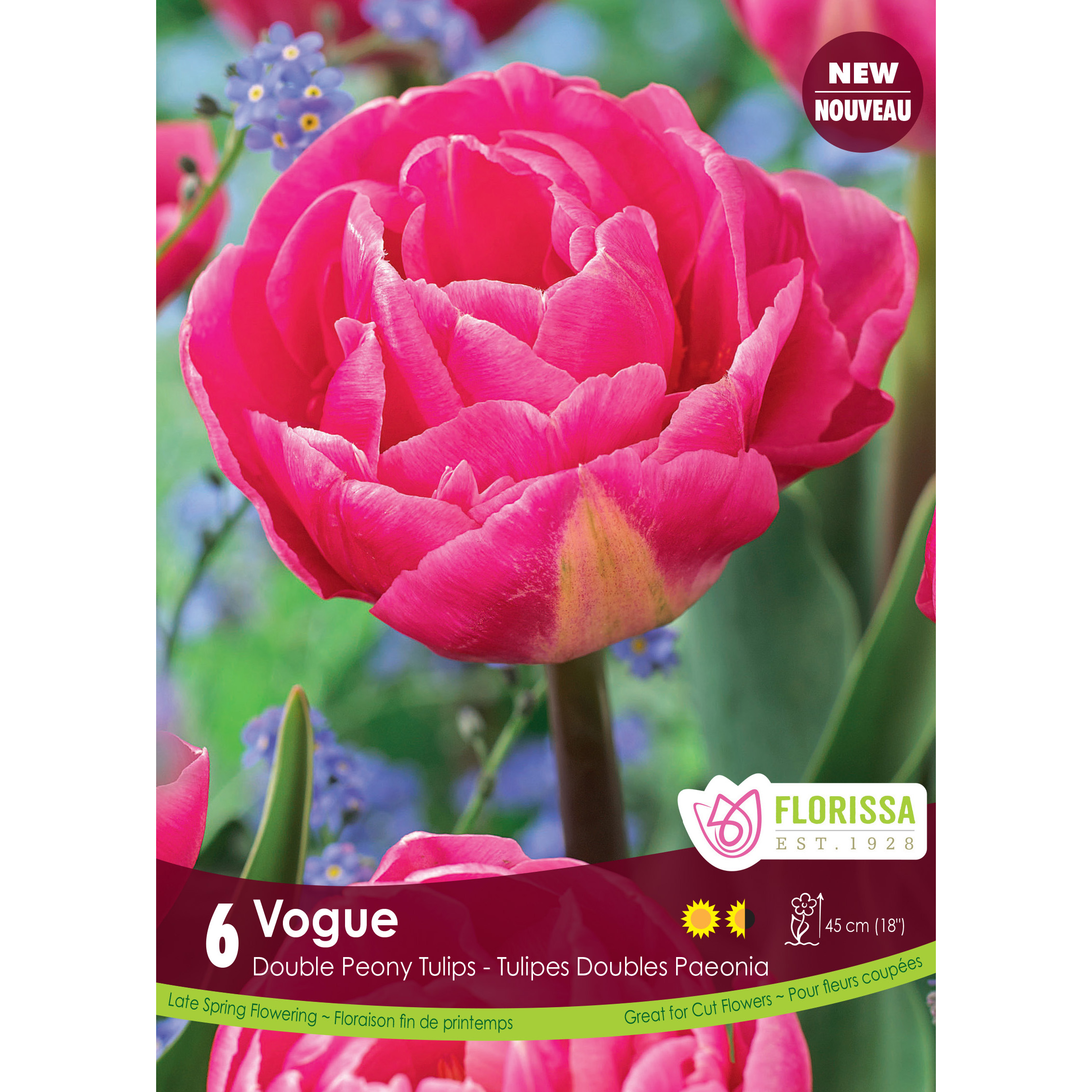 Tulip Double Peony Vogue Bulbs 6Pk     