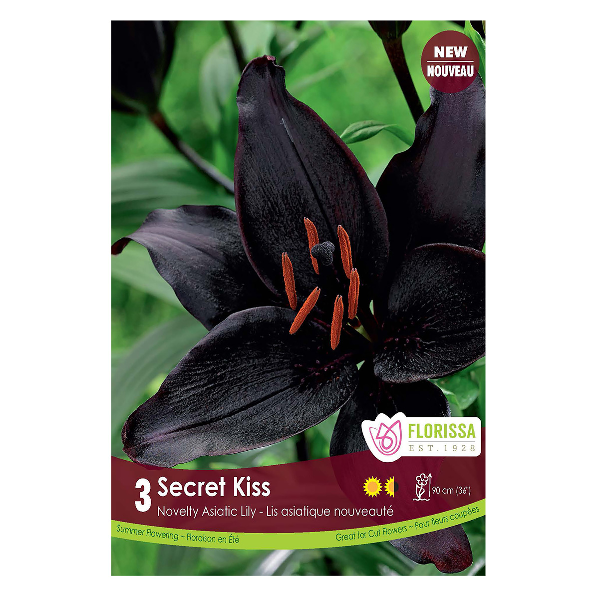 Asiatic Lily 'Secret Kiss' Bulbs