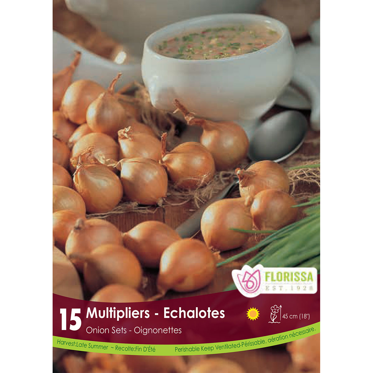 Onion Sets Lorient 'Multiplier' 15pk