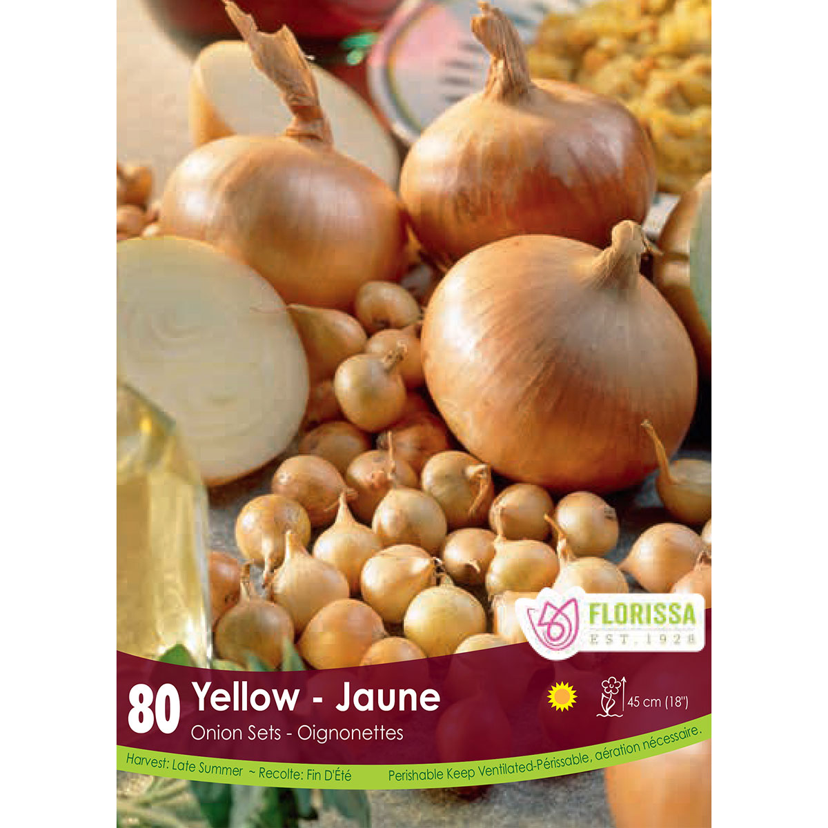 Onion Sets Stuttgart 'Yellow' 80pk