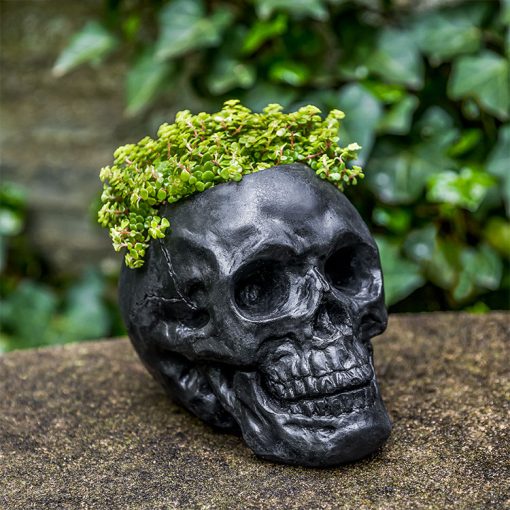 Campania - Skull Planter P-885