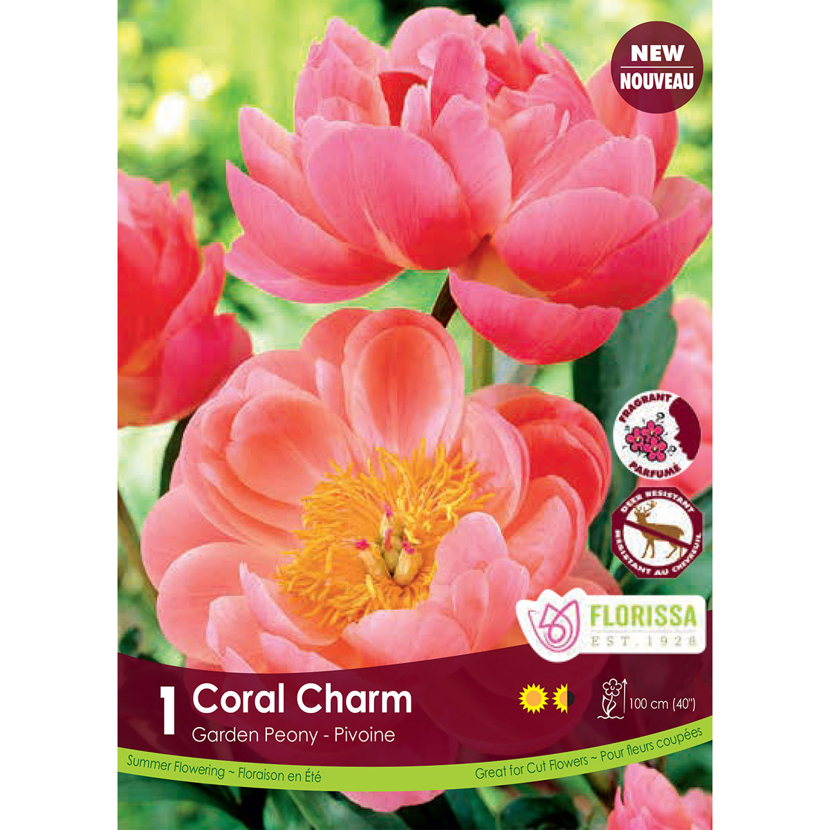 Peony_Coral_Charm.jpg