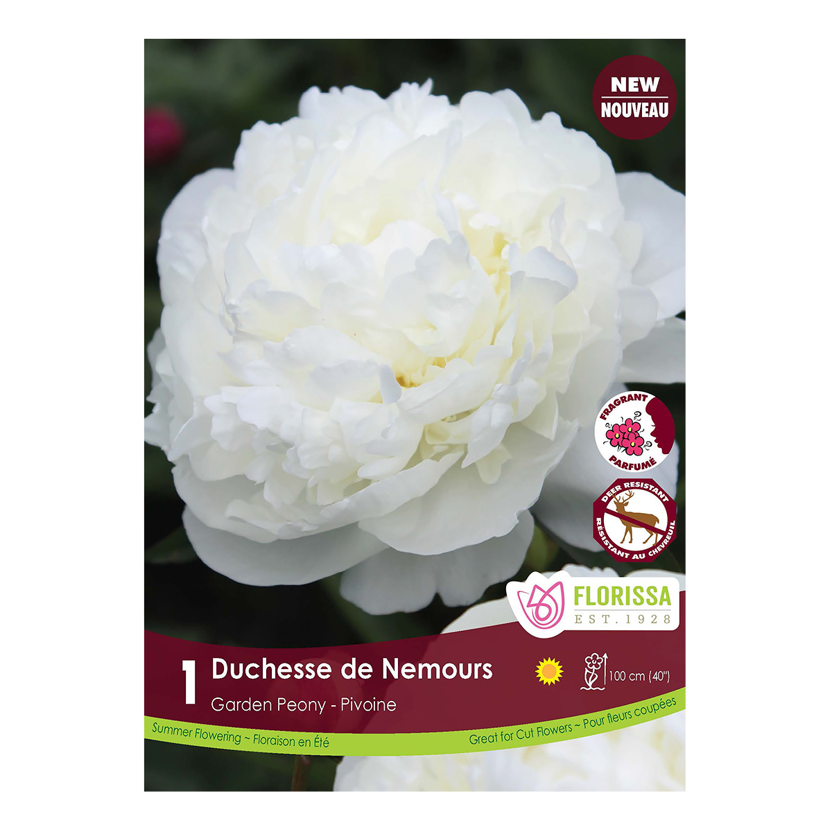 Peony_DuchessedeNemours.jpg