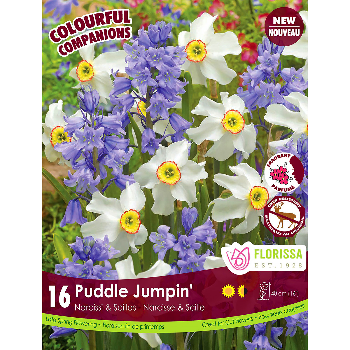 Colourful Companions Narcissi and Scillas 'Puddle Jumpin' Bulbs 16PK