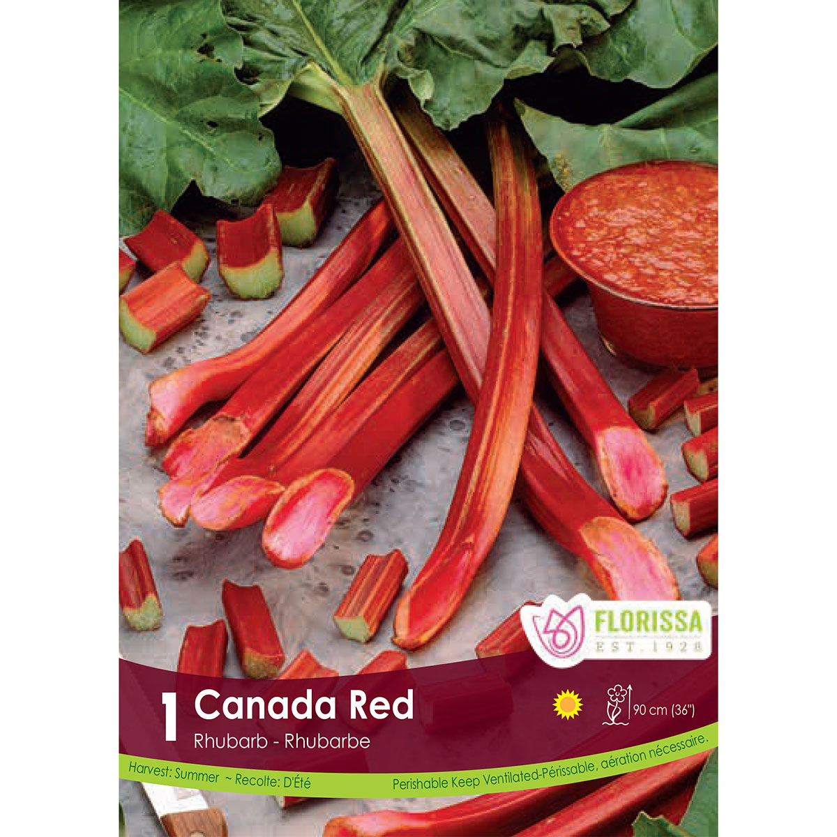 Rhubarb 'Canada Red' Root